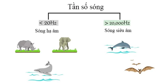 Nguồn phát sóng âm tần số dưới 16Hz