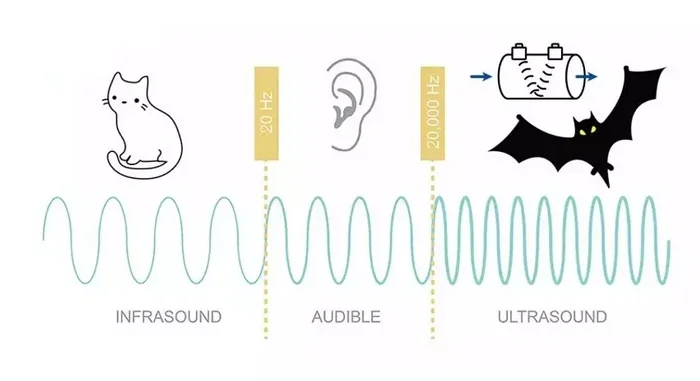 Để hiểu cách tạo ra sóng siêu âm, trước hết cần nắm được bản chất của loại sóng này