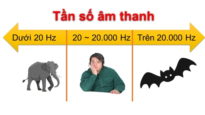 Siêu âm và hạ âm