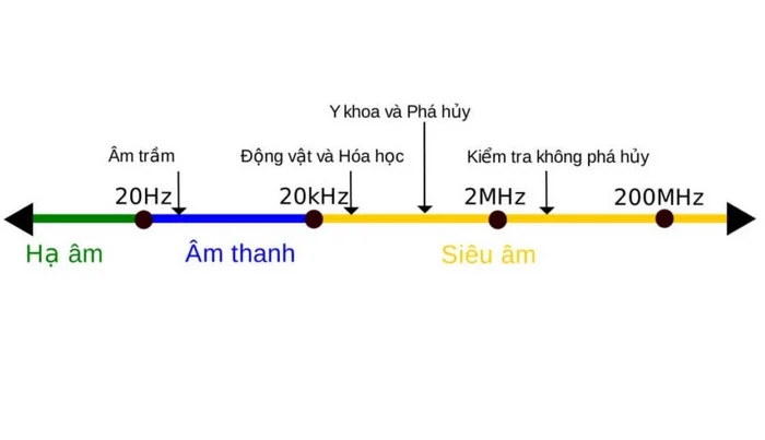 Hạ âm là vùng âm thanh tần số thấp hơn 20 Hz