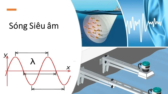 Siêu âm là vùng âm thanh có tần số cao vượt quá khả năng nghe của con người