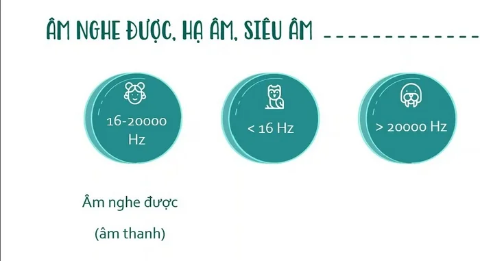 Siêu âm và hạ âm gần như đối lập nhau về đặc tính và ứng dụng