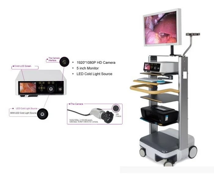 Trong các thiết bị nha khoa, máy nội soi nha khoa giúp nha sĩ quan sát khu vực khó tiếp cận